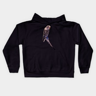 Mav My Dead Parakeet Kids Hoodie